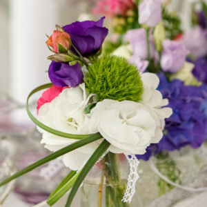 Hochzeiten & Feiern