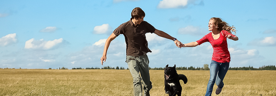 Schatz, der Hund kommt mit …